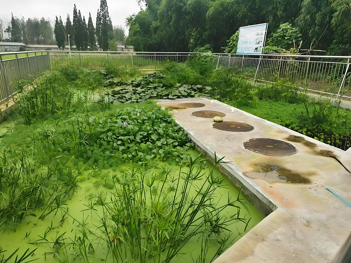 农村生活污水治理“ 千村示范工程”